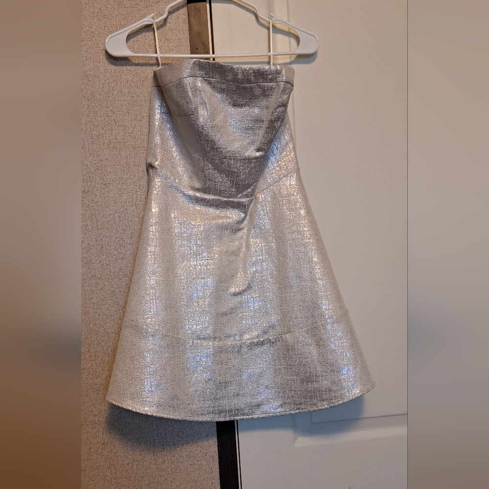Express Silver Shimmer Dress